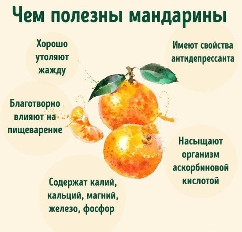 Польза и вред мандаринов для здоровья | все очень просто