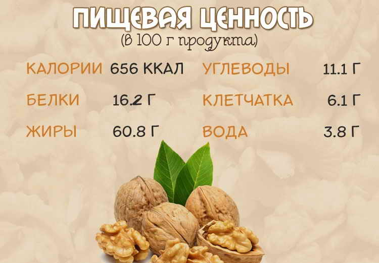 Грецкий орех – польза, вред, применение в народной медицине