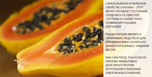 Папайя – фрукт жарких стран