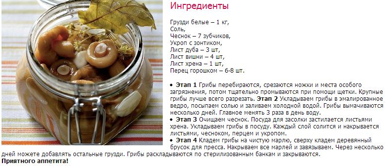 Можно ли грибы беременным на разных сроках и при грудном вскармливании: сколько разрешено, советы и противопоказания medistok.ru - жизнь без болезней и лекарств