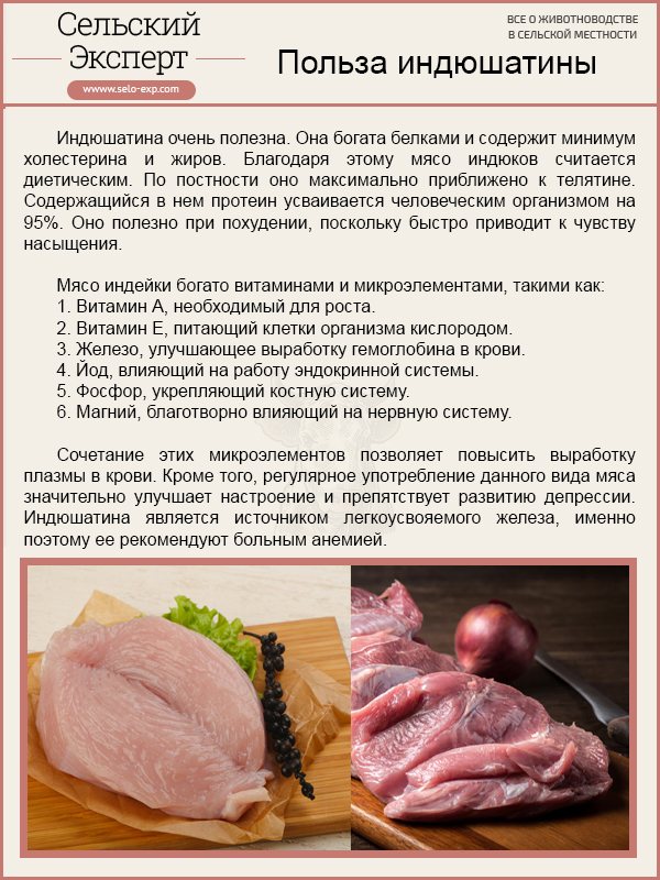 Калорийность утка домашняя, только мясо. химический состав и пищевая ценность.