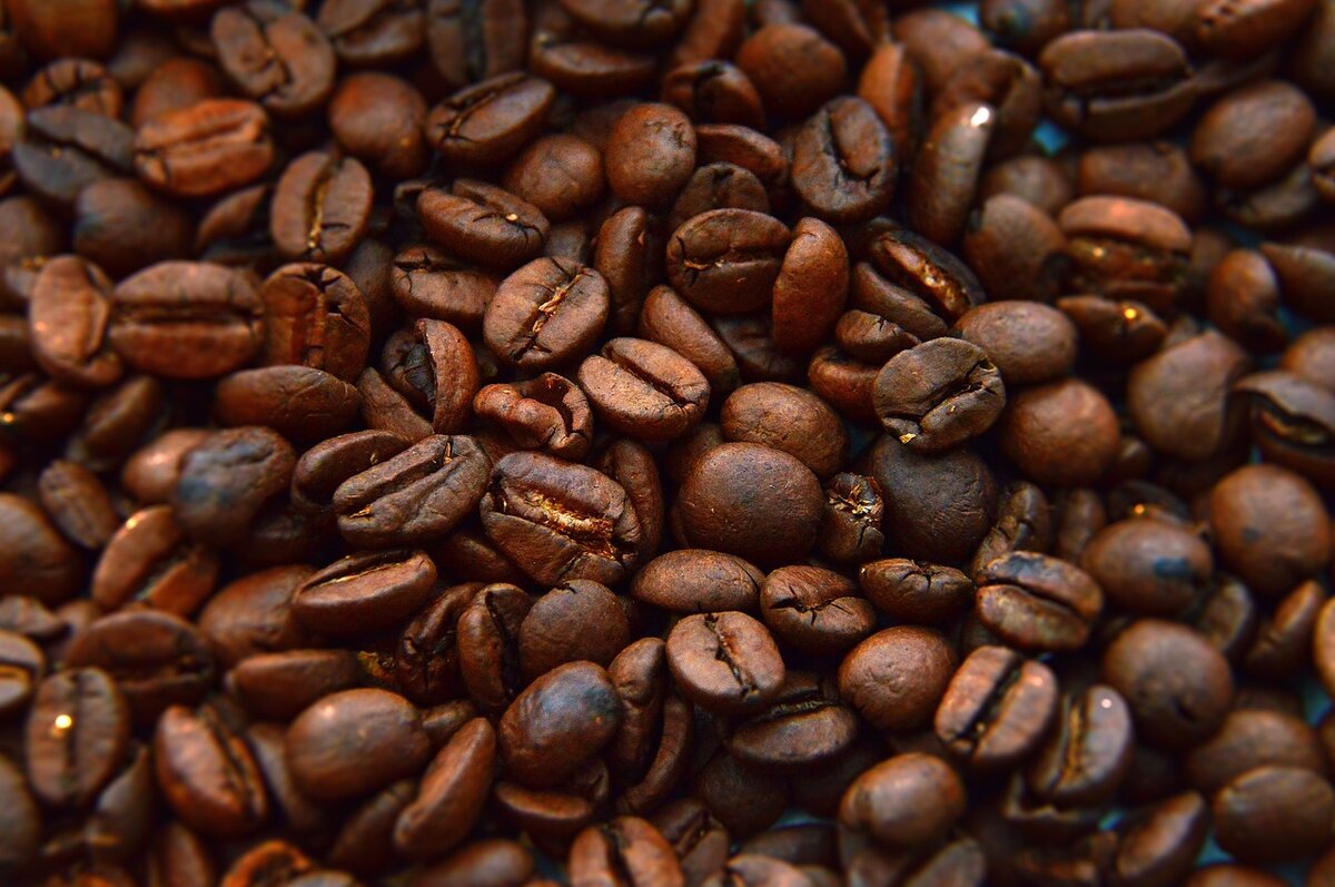 Натуральный кофеин: обзор, источники и виды
