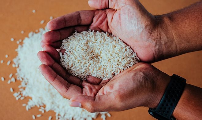 Рис басмати: что это такое, отличие от обычного риса, польза и вред для здоровья, фото и калорийность в 100 граммах