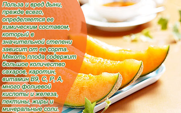 Дыня: это овощ, фрукт или ягода? описание, состав, польза и вред
