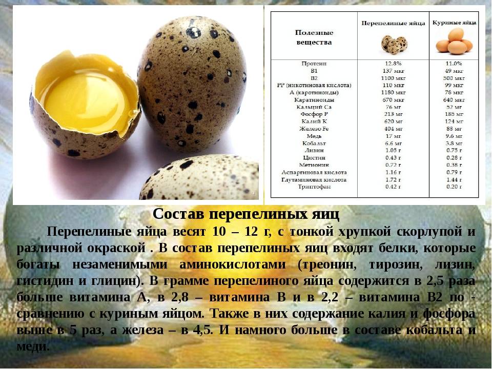 Яйца цесарок: состав, польза и вред, как хранить