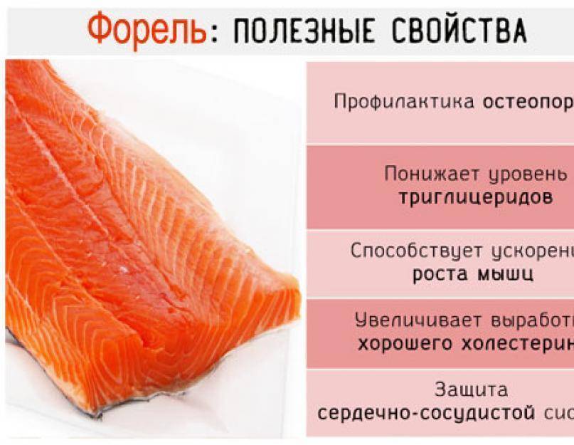 Польза и вред масляной рыбы Состав, калорийность, полезные свойства, вред, противопоказания к употреблению, правила хранения, рецепты приготовления