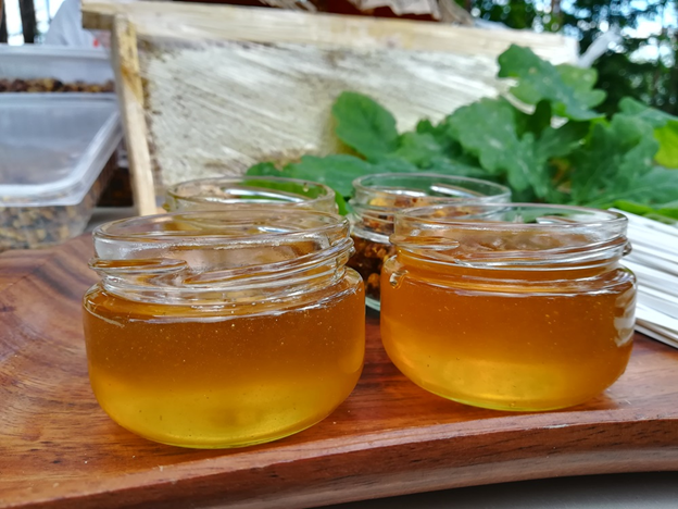 Донниковый мед: полезные свойства и противопоказания, калорийность, применение, фото