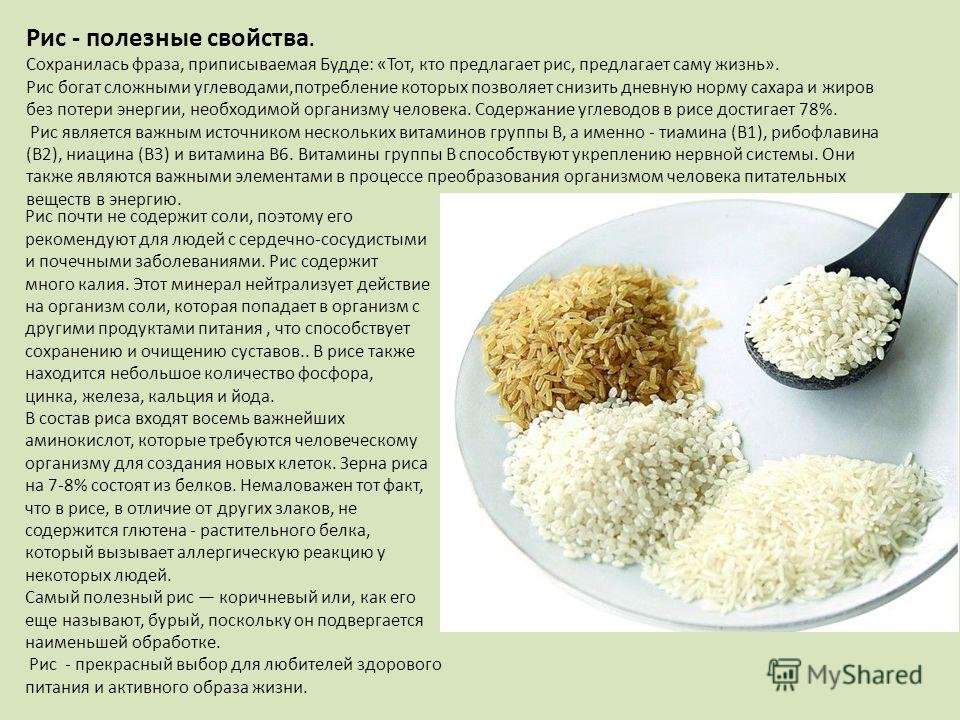 Польза и вред риса: какой бывает крупа, какими уникальными свойствами обладает, какие целебные средства готовят на основе рисовых зерен, и при каких заболеваниях их используют