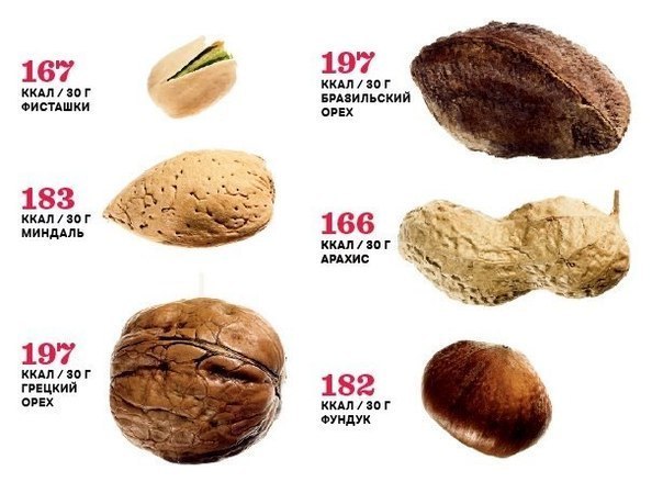 Орехи миндаль: польза и вред для организма, сколько нужно съесть