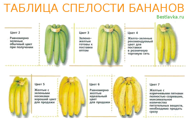 Чем полезны бананы, и как их лучше есть?