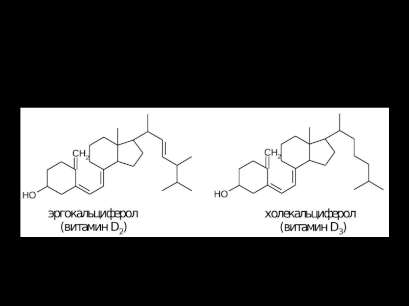 Витамин d3: роль холекальциферола для организма человека | блог 4brain