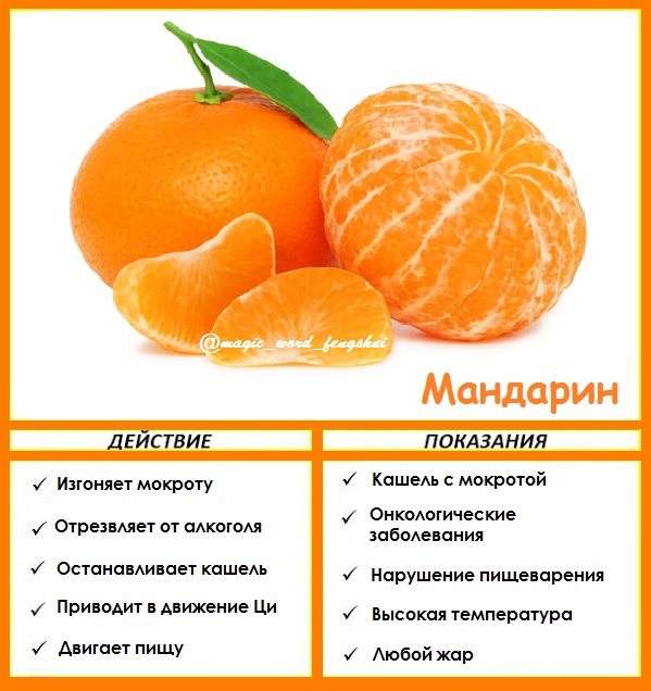 Польза и вред мандаринов для здоровья, калорийность