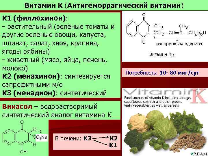Витамин к (филлохинон)