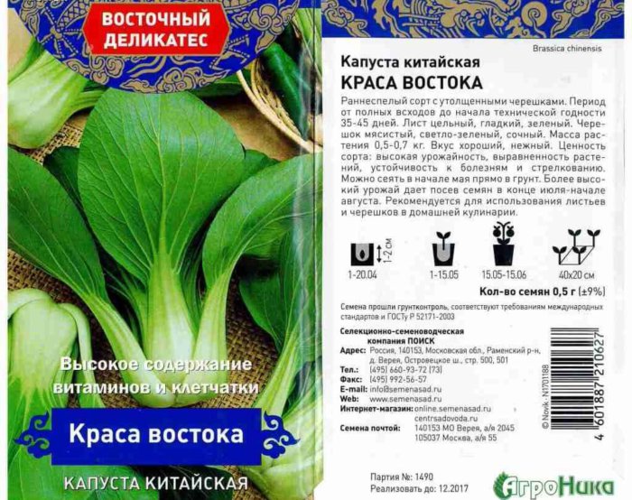 Пак-чой: полезные свойства азиатской капусты