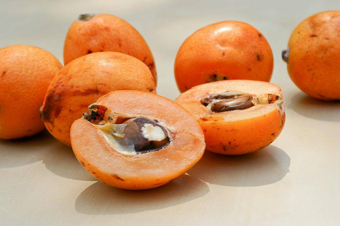Японский фрукт мушмула — полезные свойства и противопоказания