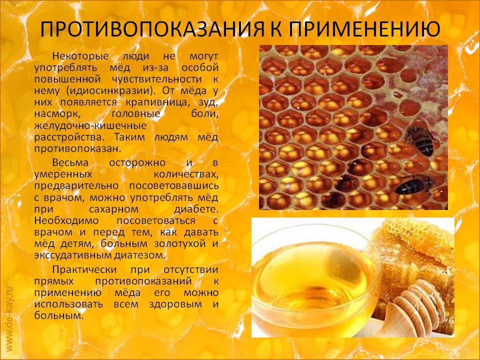 Мед в сотах, польза и вред, можно ли глотать воск - рекомендации