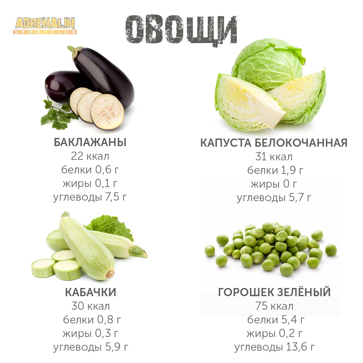 Кабачок - польза и вред, состав, калорийность, как хранить овощ