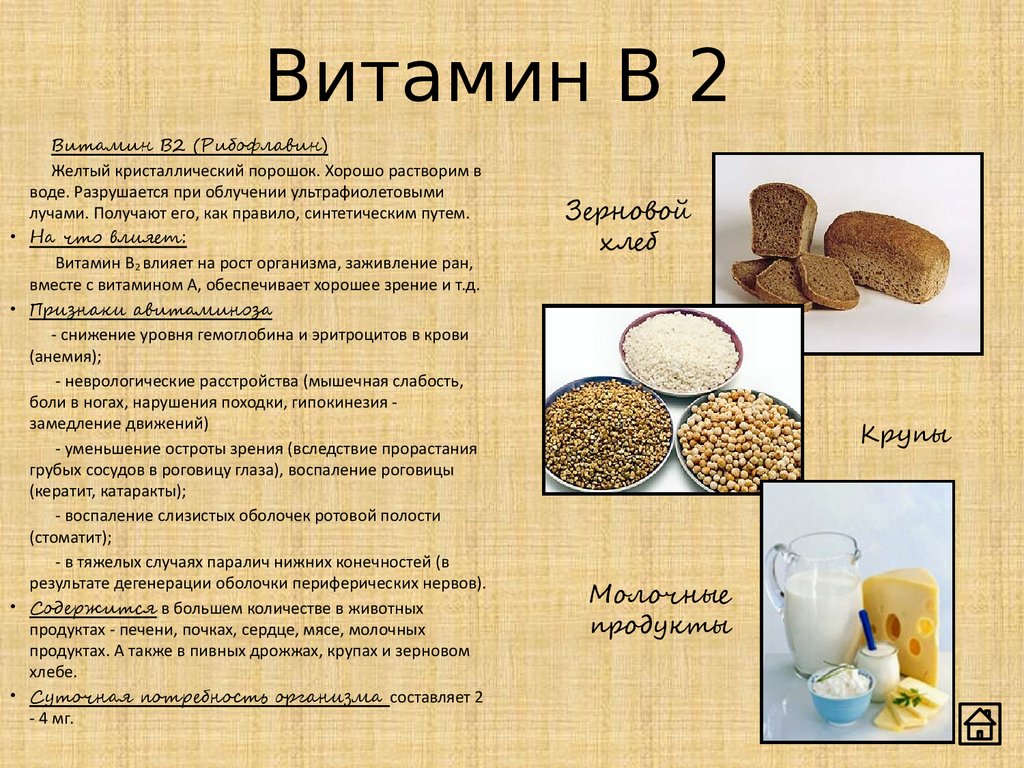 Витамин в2 (рибофлавин) – свойства, роль и баланс в организме