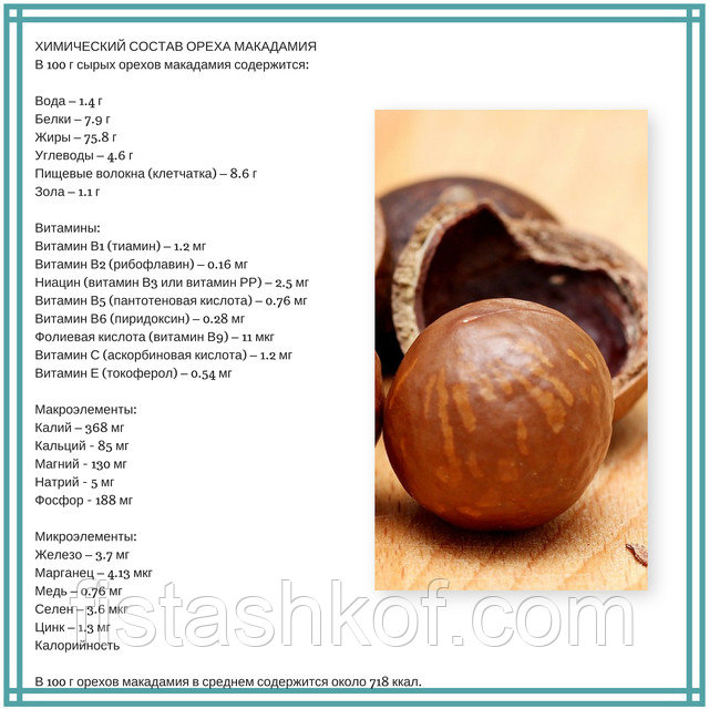 Скорлупа ореха макадамия: применение и использование в домашних условиях