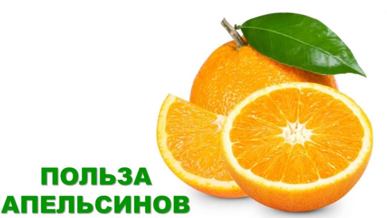 Апельсин: польза и вред, применение в лечебных целях, как выбрать и хранить