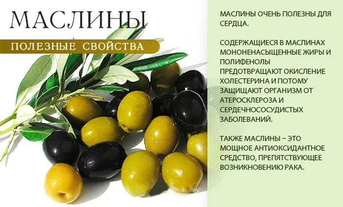 Оливки: польза и вред для организма, чем отличаются от маслин, фото