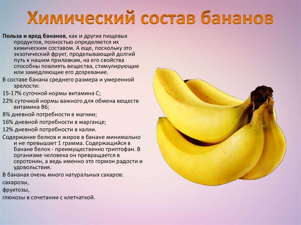 Всё про банан , его состав и калорийность, полезные свойства и применение в народной медицине, интересные факты о бананах
