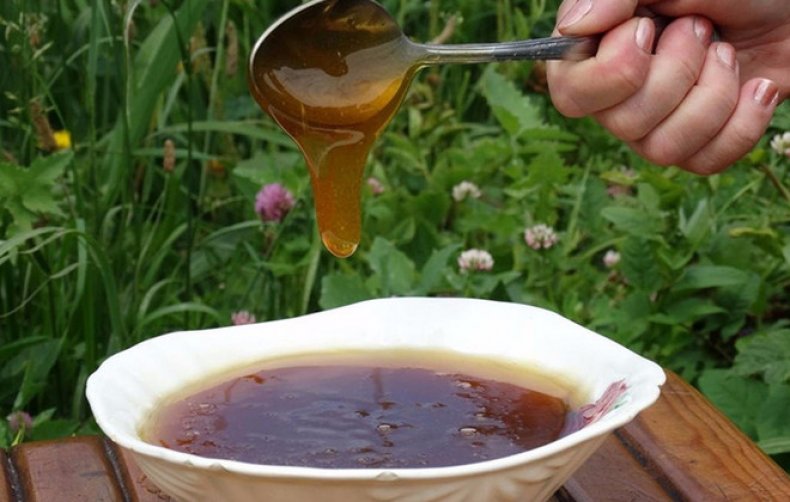 Дягилевый мед: полезные свойства и противопоказания