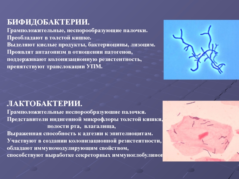 "актимель": польза или вред, отзывы врачей, состав и влияние на кишечник :: syl.ru