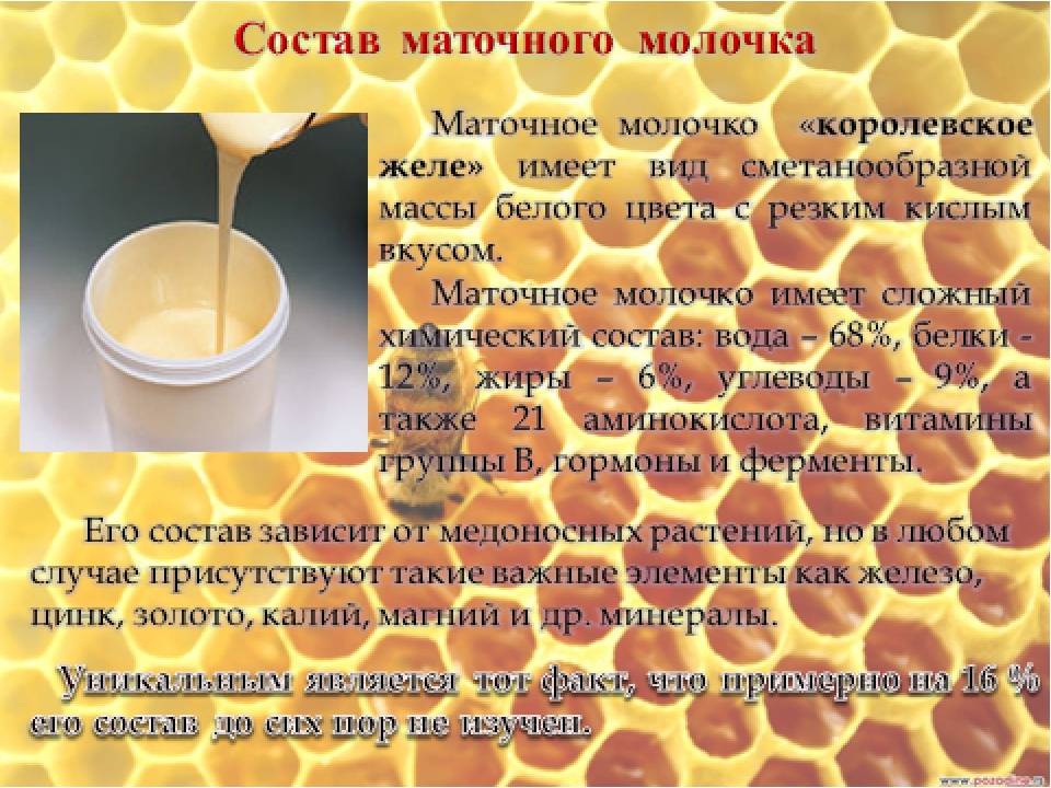 Мед с маточным молочком: что это, как делают, как отличить подделку, чем полезен, как принимать