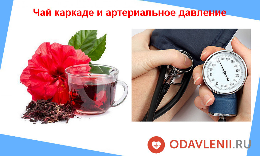Польза и вред чая каркаде. в какое время пить и как заваривать
