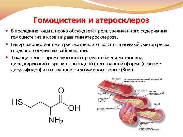 Витамин b9 (фолиевая кислота): в каких продуктах содержится – эл клиника