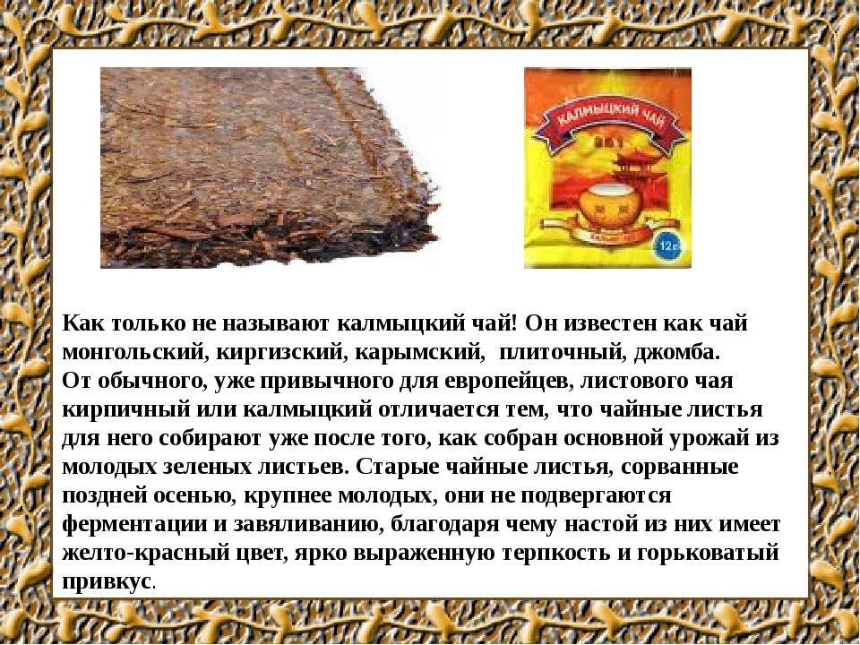 Калмыцкий чай - глава пищи калмыков. статья. культурология. 2014-01-01