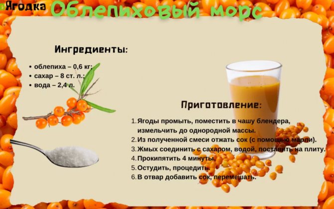 Облепиха - калорийность, полезные свойства, польза и вред, описание - www.calorizator.ru