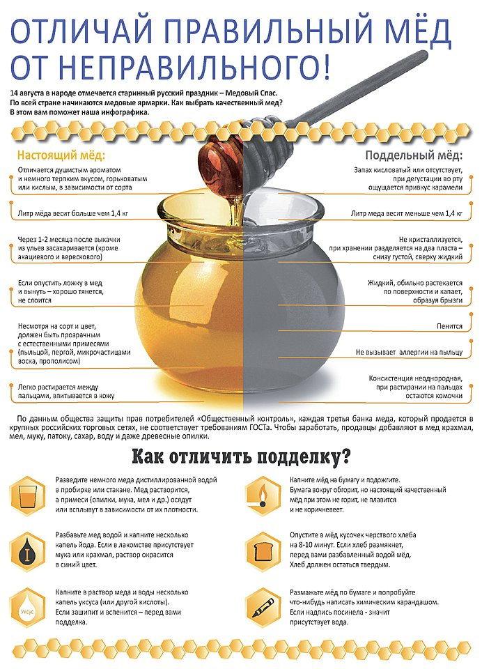 Мед с маточным молочком: полезные свойства и противопоказания