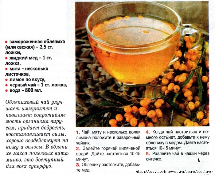 🍀 учимся готовить облепиховый чай правильно (лучшие рецепты) + польза для здоровья
