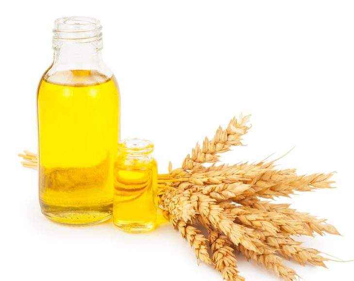 Всё про масло зародышей пшеницы, его химический состав, пищевая ценность, наличие витаминов и минералов, применение в кулинарии и косметологии