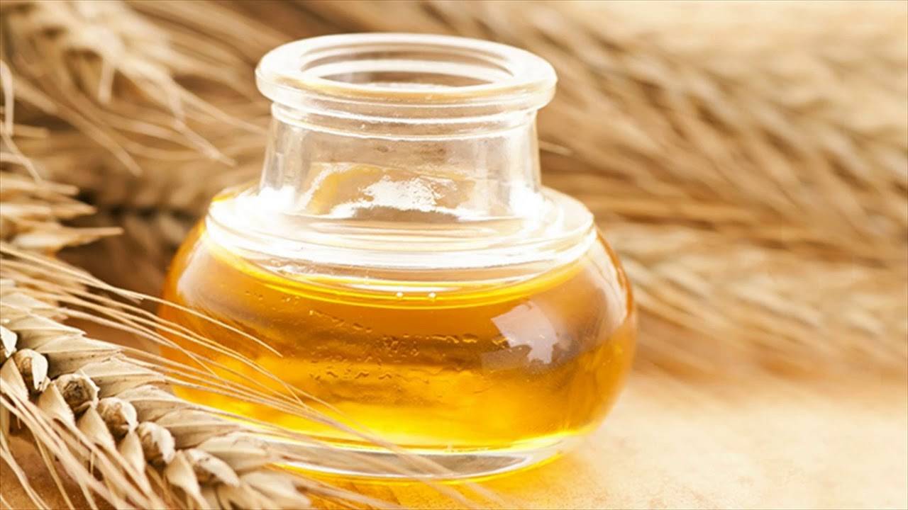 Масло зародышей пшеницы — химический состав, пищевая ценность, бжу