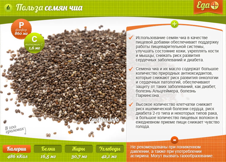 Семена чиа - полезные свойства, состав и противопоказания (+ 14 фото)