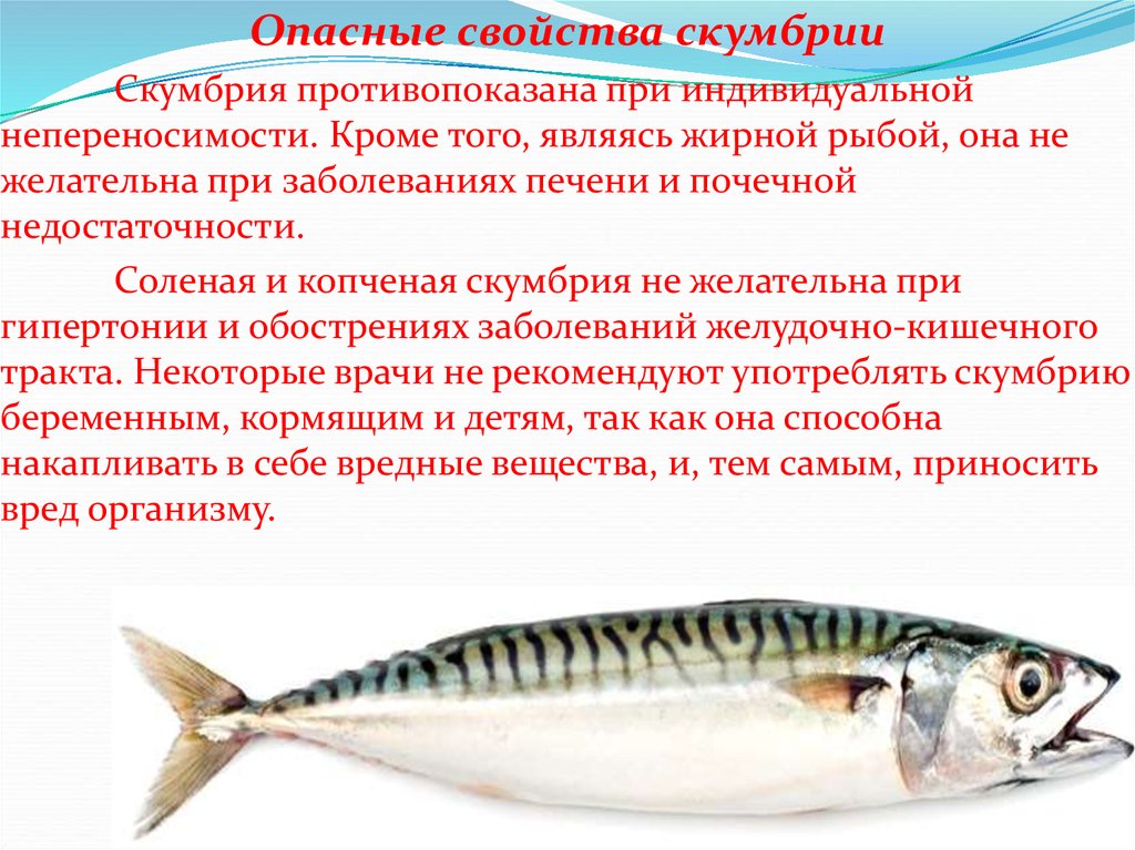 Калорийность мяса, рыбы и морепродуктов: таблица калорийности на 100 граммов