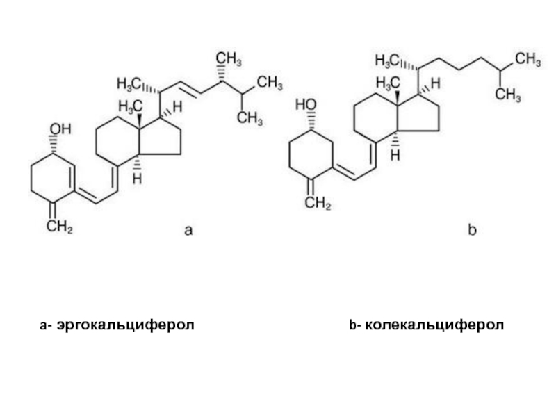 Витамин d, 25-гидрокси (кальциферол)