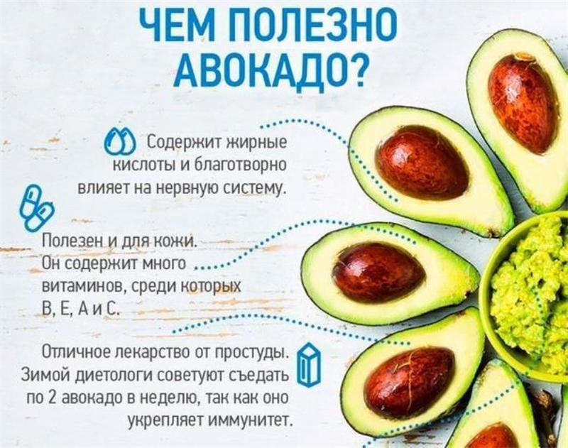 Всё про авокадо , его состав и калорийность, полезные свойства и применение в народной медицине, интересные факты об авокадо