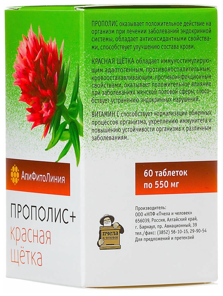 Красная щетка (родиола четырехчленная, холодная): лечебные свойства, показания, противопоказания, инструкция по применению / mama66.ru