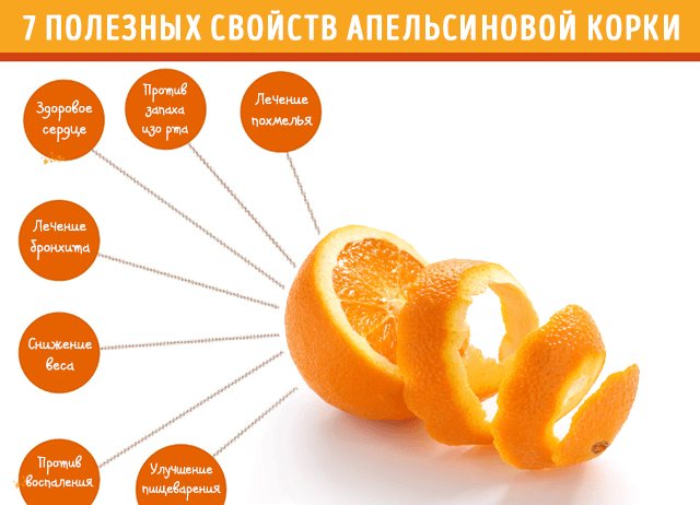 Апельсины: польза и вред для здоровья человека