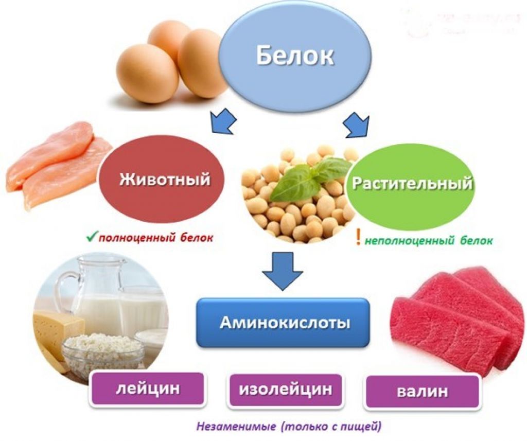 Заменимые и незаменимые аминокислоты в продуктах питания: таблица, список