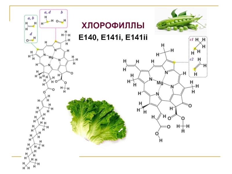 Добавка E140 Хлорофилл входит в категорию Красители и имеет Растительное происхождение Очень низкая опасность добавки E140 подтверждена различными исследованиями Полную инфорацию о добавке E140 читайте на сайте Добавкамнет