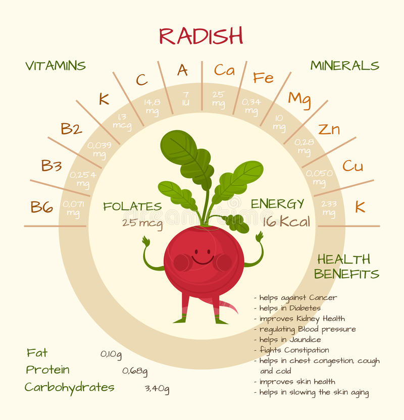 Узнаем, какие витамины в редиске: чем полезен редис для организма, что содержится, помимо витаминов