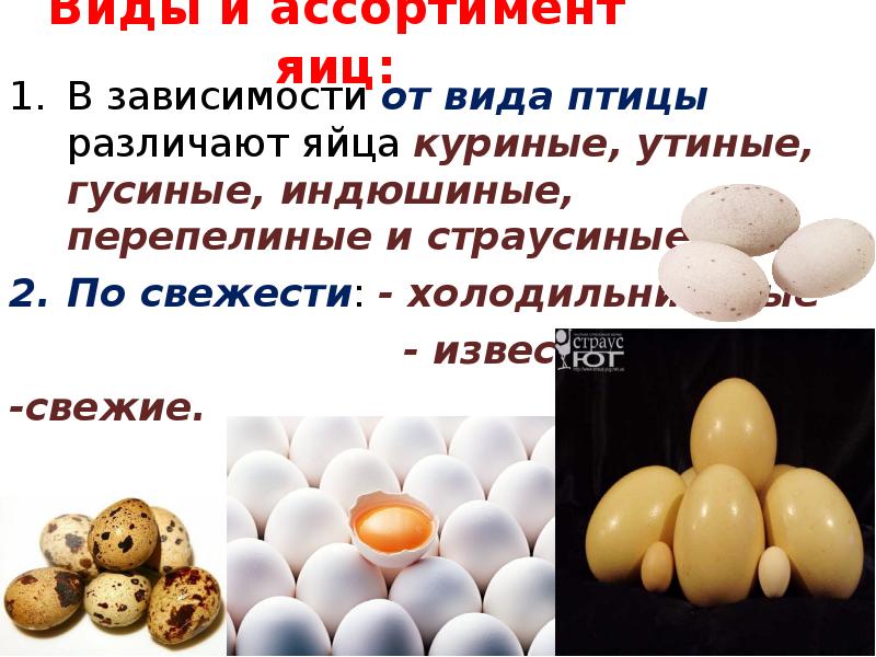 Сколько варить гусиное яйцо вкрутую. гусиные яйца: полезная информация и рецепты
