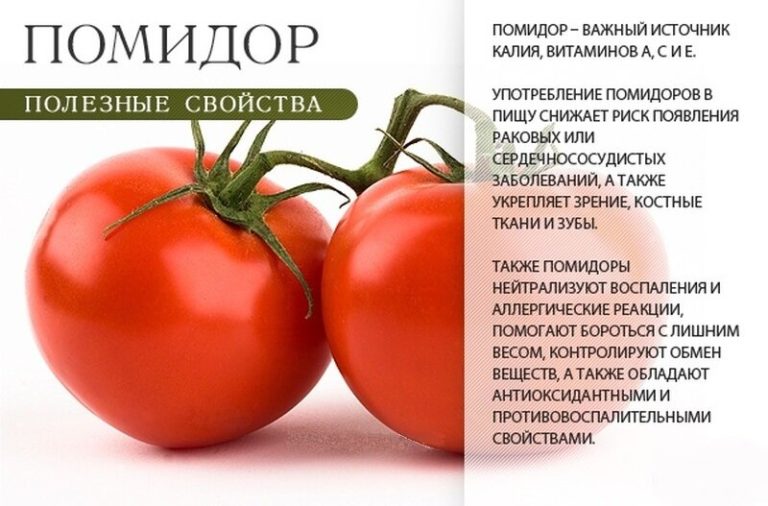 Свежие помидоры: польза и вред для здоровья человека