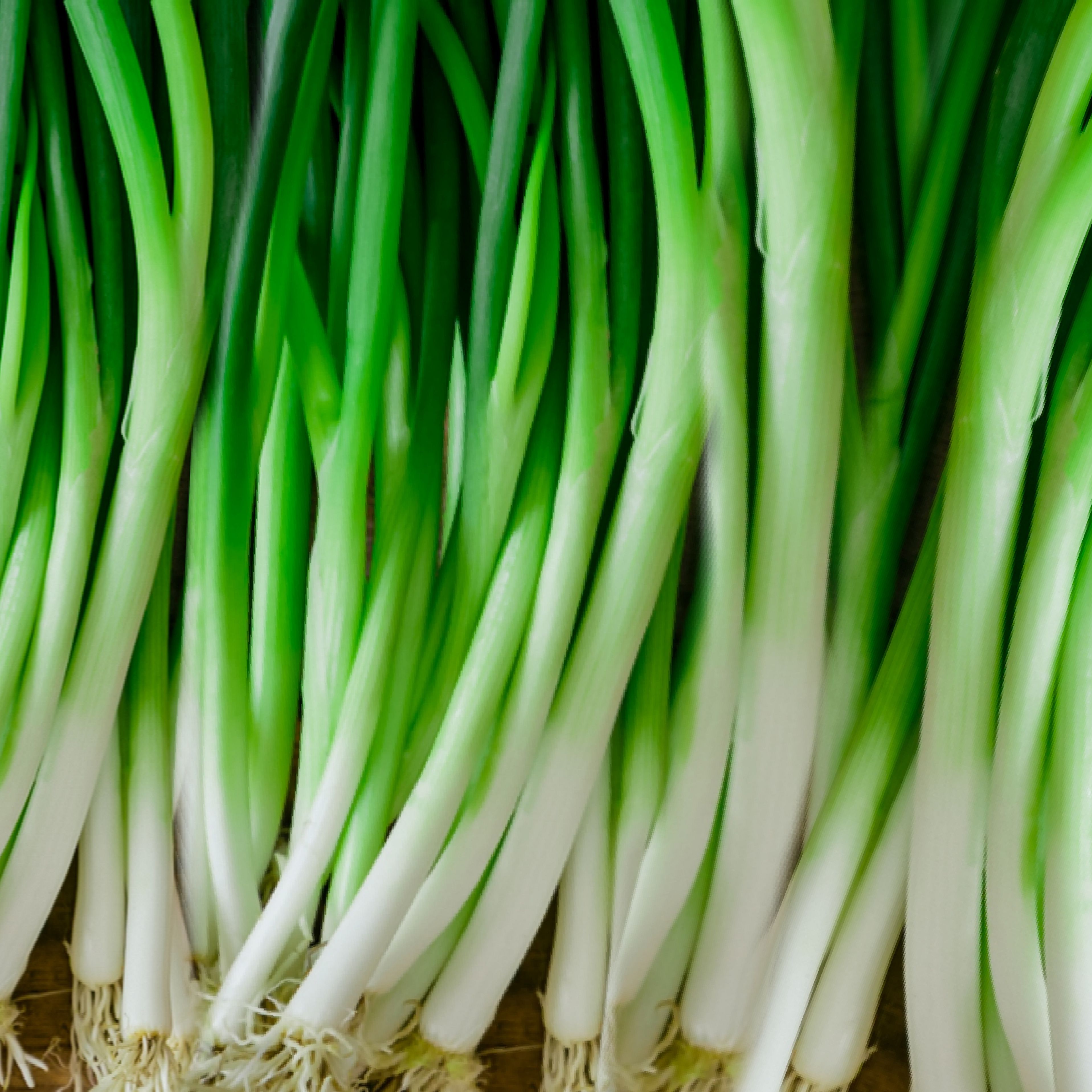 Зелёный лук: польза и вред для организма, калорийность