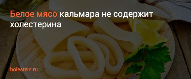 Калорийность, польза и вред кальмара :: syl.ru